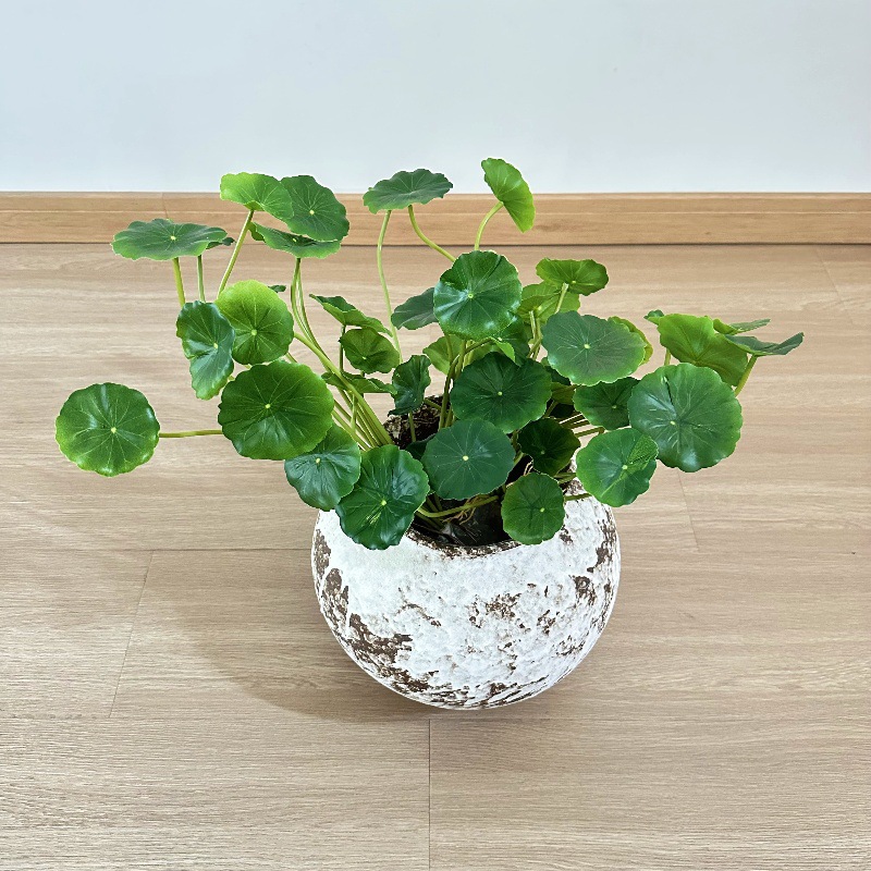 Pilea Peperomioides - 2 szt. Sztuczna Pilea Peperomioides Bonsai