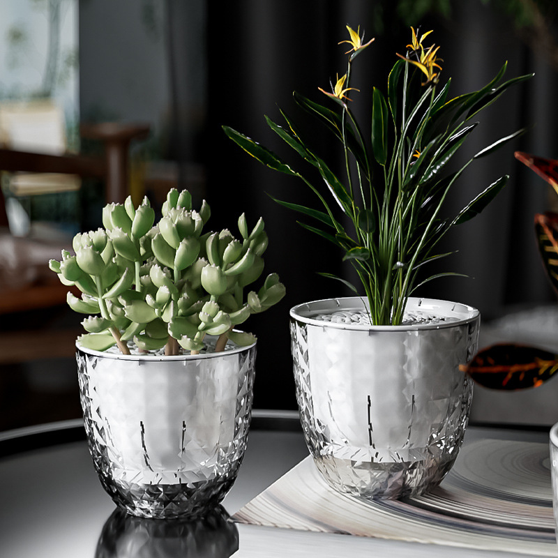 Przezroczysty plastikowy leniw – Aloe Vera Pot recenzja i cena