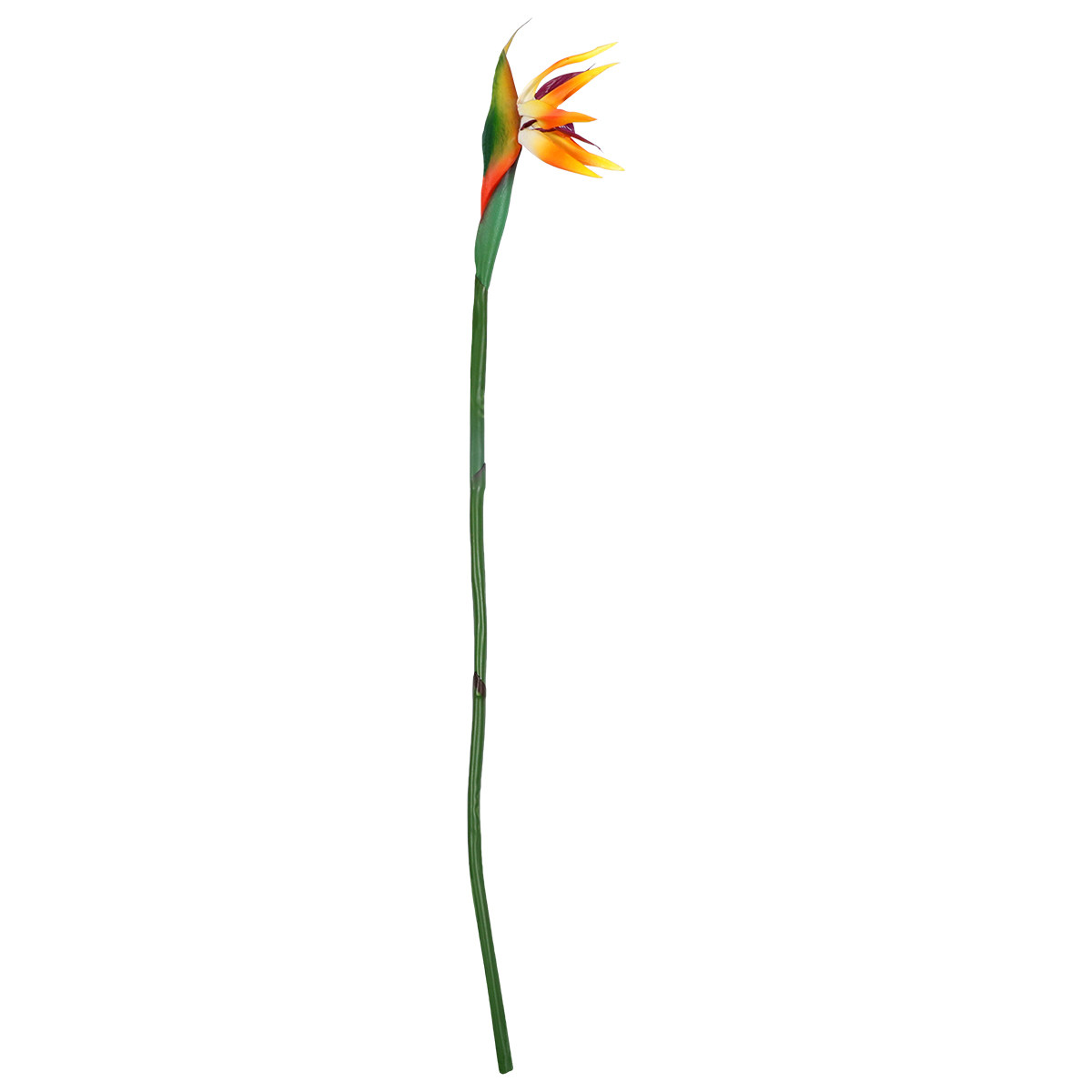 Sztuczny kwiat ptaka rajskiego – Bird Paradise Strelitzia recenzja i cena