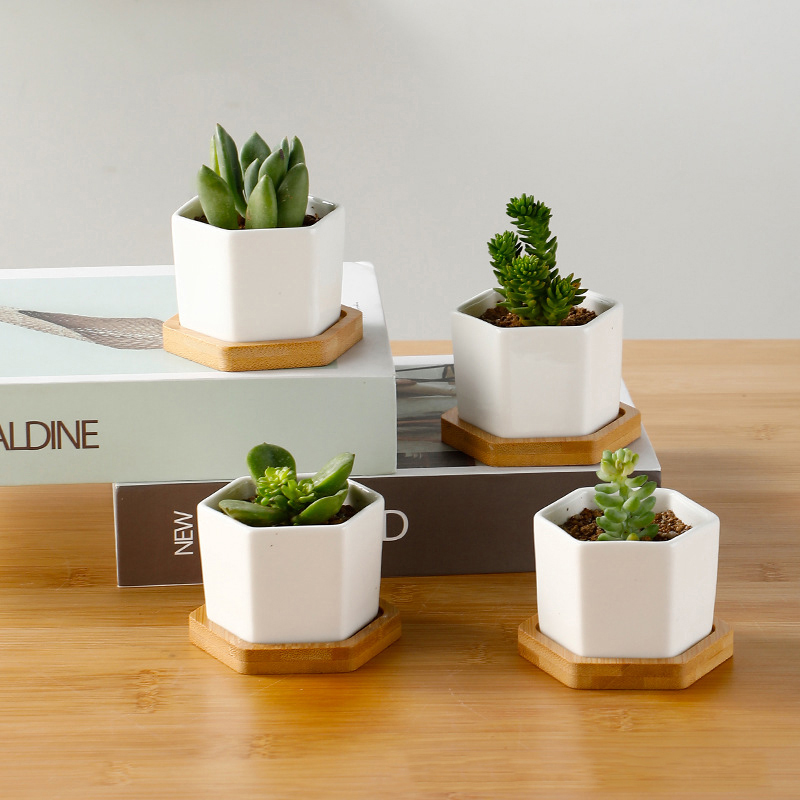 Ceramic Flowerpot White Hexago – Aloe Vera Pot recenzja i cena