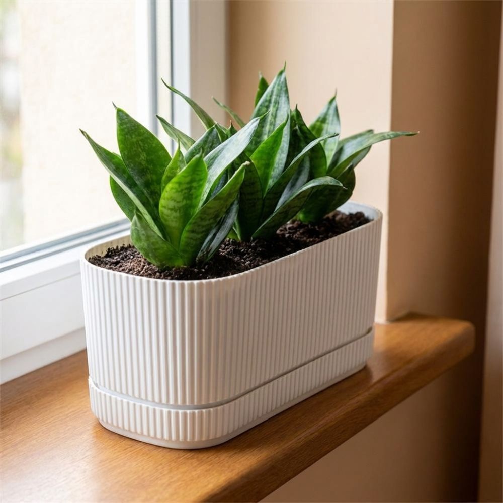 Plastikowa doniczka samonawadn – Aloe Vera Pot recenzja i cena