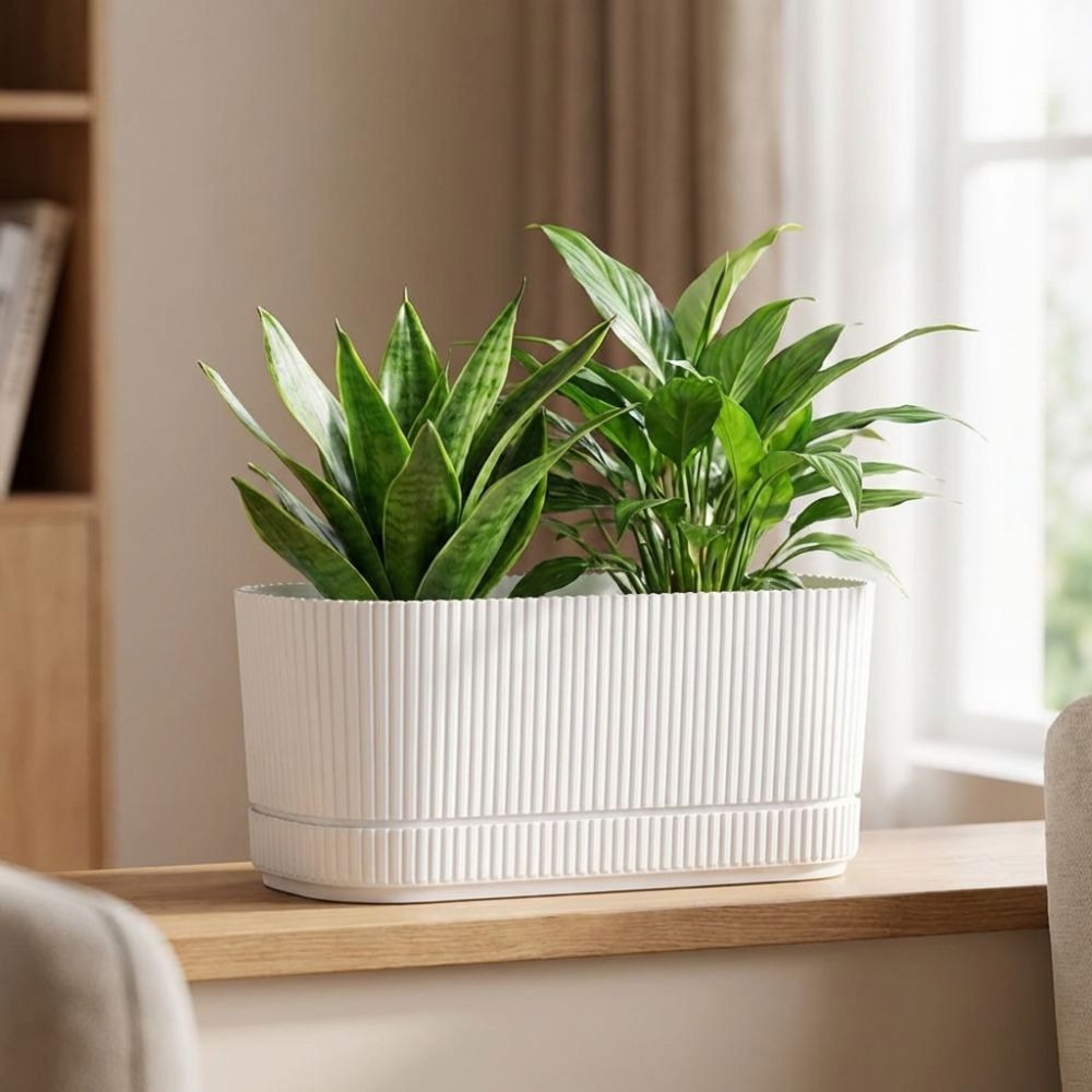Plastikowa doniczka samonawadn – Aloe Vera Pot recenzja i cena