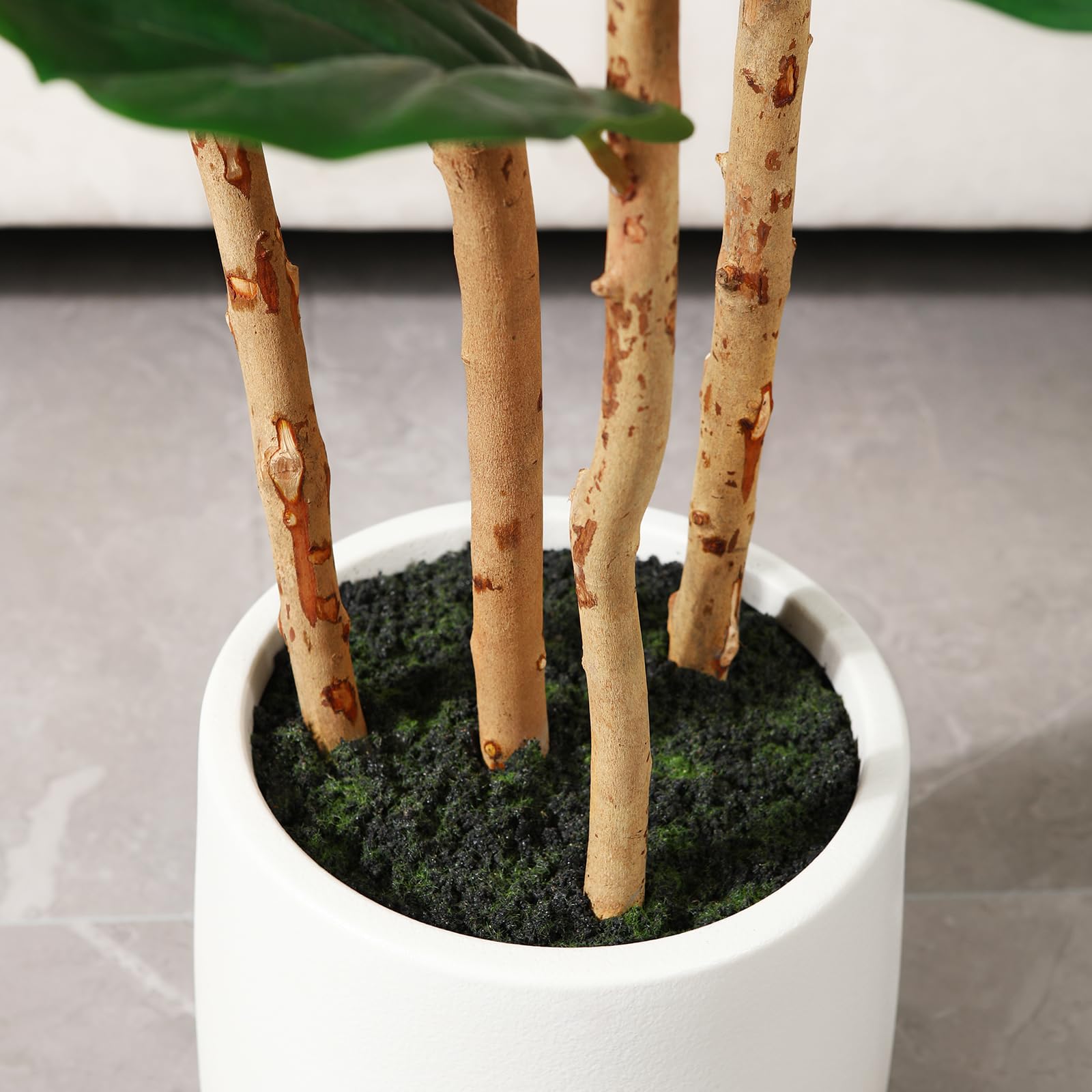 Sztuczne drzewo figowe z biały – Ficus Lyrata Tree recenzja i cena