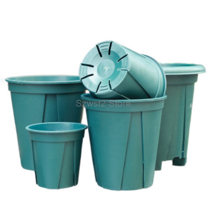 5/10 szt. Zielone Plastikowe P – Aloe Vera Pot recenzja i cena