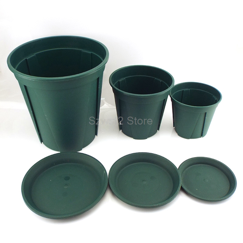 5/10 szt. Zielone Plastikowe P – Aloe Vera Pot recenzja i cena