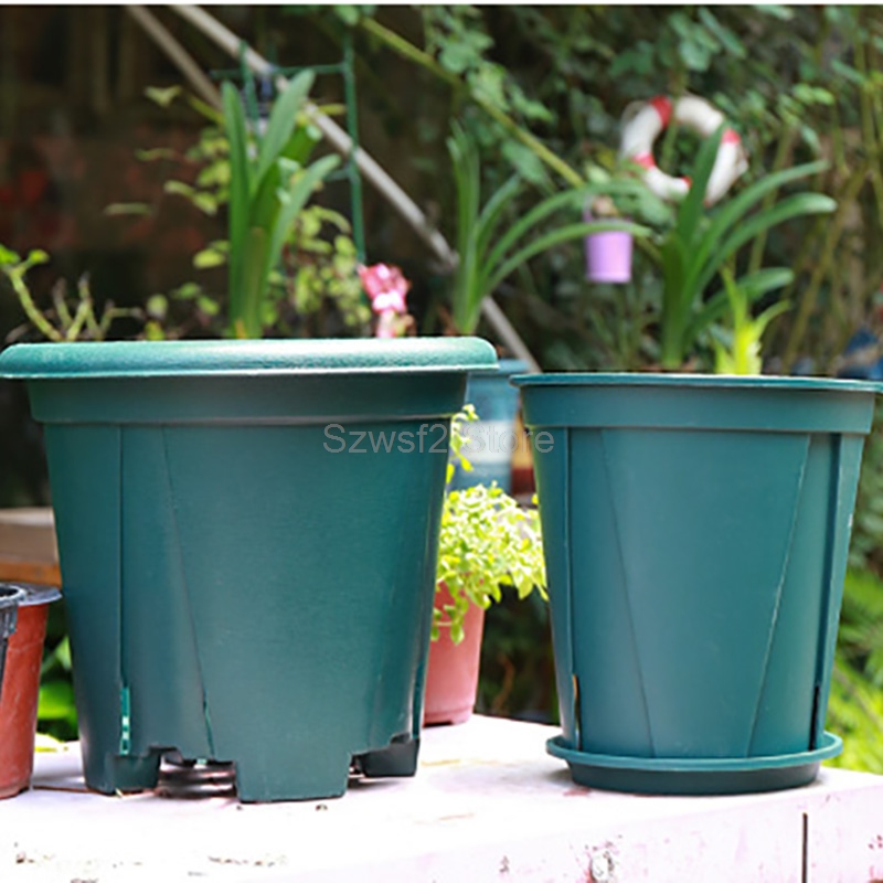 5/10 szt. Zielone Plastikowe P – Aloe Vera Pot recenzja i cena